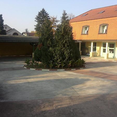 Guest Accommodation Kordun Nowy Sad Zewnętrze zdjęcie